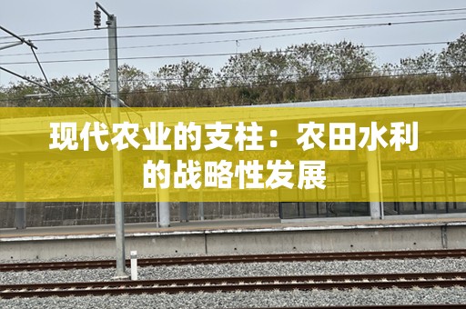 现代农业的支柱：农田水利的战略性发展
