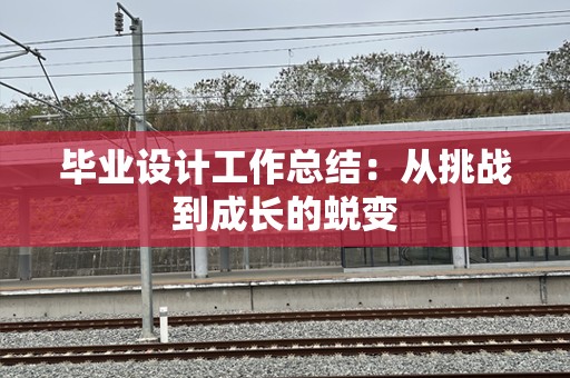 毕业设计工作总结：从挑战到成长的蜕变