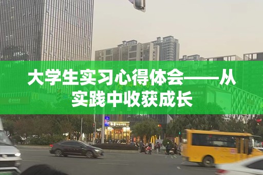 大学生实习心得体会——从实践中收获成长