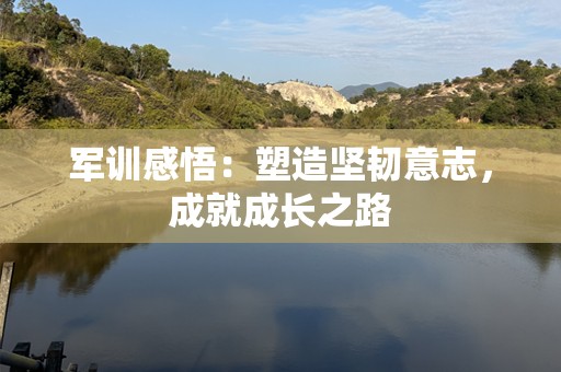 军训感悟：塑造坚韧意志，成就成长之路