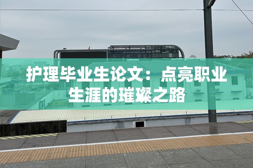 护理毕业生论文：点亮职业生涯的璀璨之路