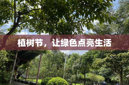 植树节，让绿色点亮生活
