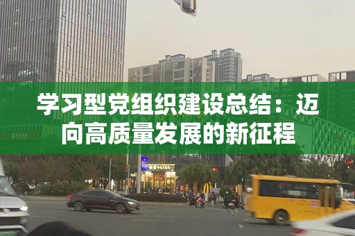 学习型党组织建设总结：迈向高质量发展的新征程