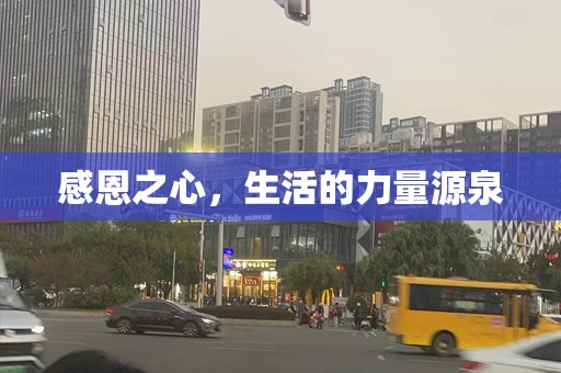 感恩之心，生活的力量源泉