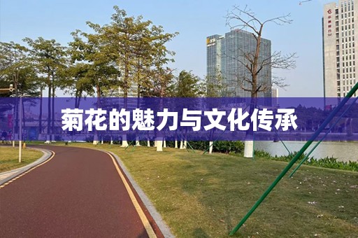 菊花的魅力与文化传承