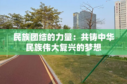 民族团结的力量：共铸中华民族伟大复兴的梦想