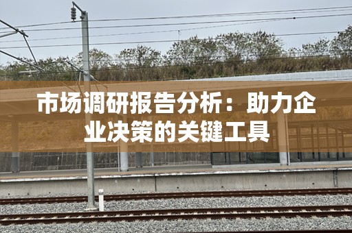 市场调研报告分析：助力企业决策的关键工具