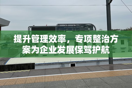 提升管理效率，专项整治方案为企业发展保驾护航