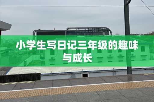 小学生写日记三年级的趣味与成长