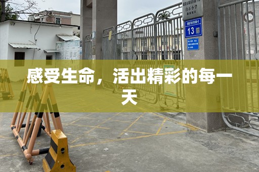 感受生命，活出精彩的每一天