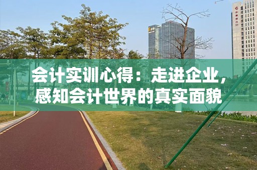 会计实训心得：走进企业，感知会计世界的真实面貌