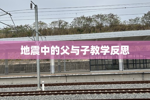 地震中的父与子教学反思