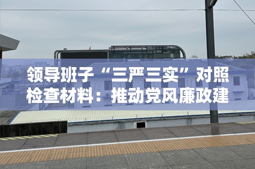 领导班子“三严三实”对照检查材料：推动党风廉政建设，提升领导力与治理效能