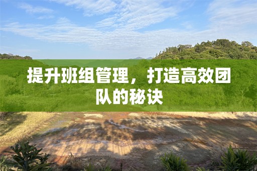 提升班组管理，打造高效团队的秘诀
