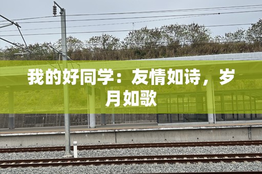 我的好同学：友情如诗，岁月如歌