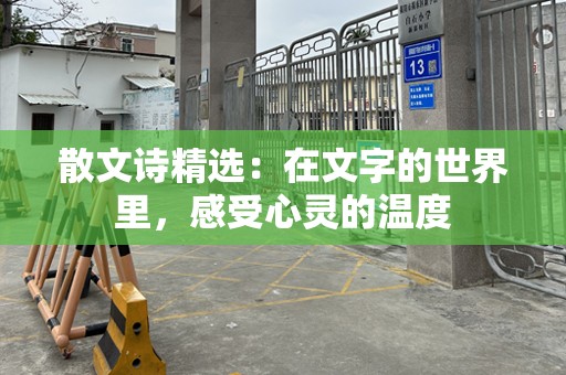 散文诗精选：在文字的世界里，感受心灵的温度