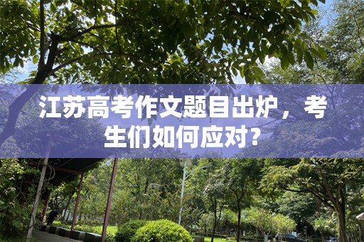 江苏高考作文题目出炉，考生们如何应对？