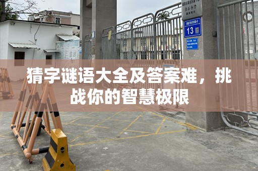 猜字谜语大全及答案难，挑战你的智慧极限