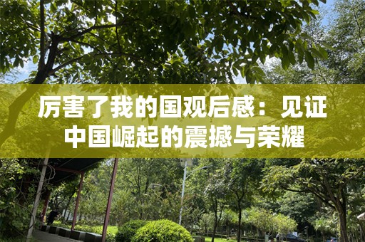厉害了我的国观后感：见证中国崛起的震撼与荣耀