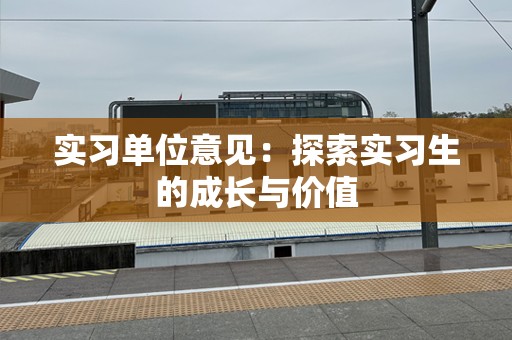 实习单位意见：探索实习生的成长与价值