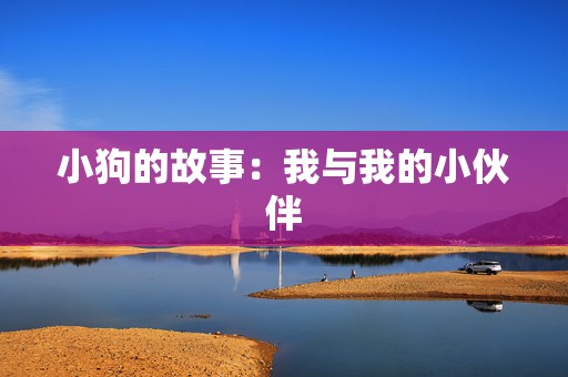 小狗的故事：我与我的小伙伴
