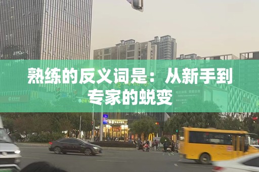熟练的反义词是：从新手到专家的蜕变