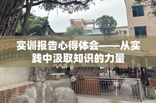 实训报告心得体会——从实践中汲取知识的力量