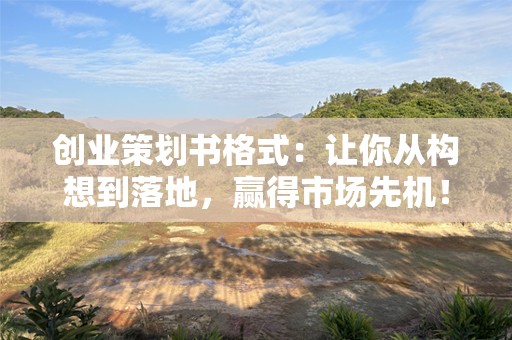 创业策划书格式：让你从构想到落地，赢得市场先机！