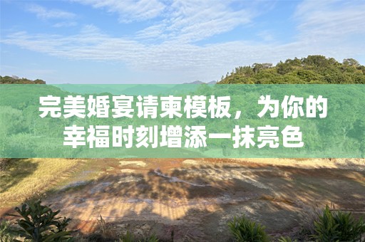 完美婚宴请柬模板，为你的幸福时刻增添一抹亮色