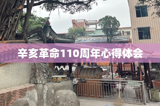 辛亥革命110周年心得体会