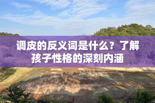 调皮的反义词是什么？了解孩子性格的深刻内涵