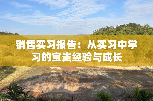 销售实习报告：从实习中学习的宝贵经验与成长