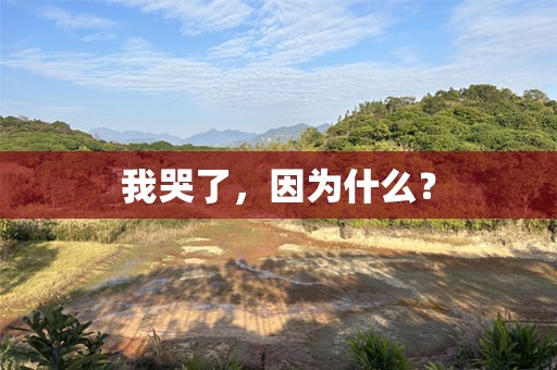 我哭了，因为什么？