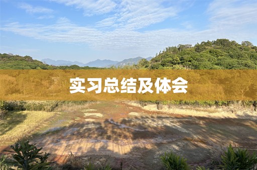 实习总结及体会