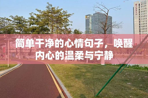 简单干净的心情句子，唤醒内心的温柔与宁静