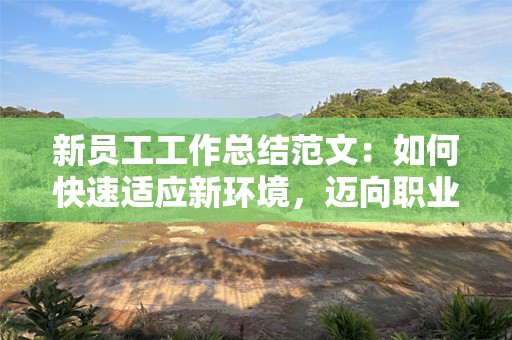 新员工工作总结范文：如何快速适应新环境，迈向职业成功