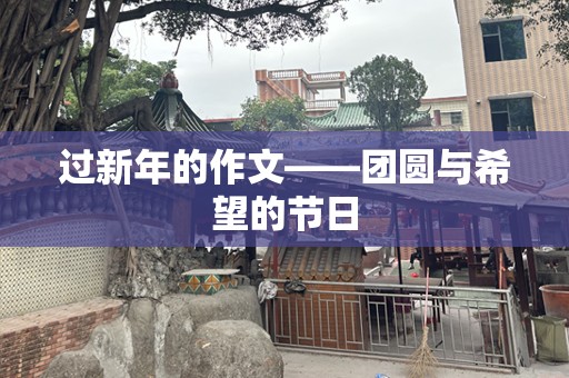 过新年的作文——团圆与希望的节日