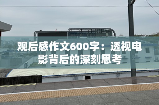 观后感作文600字：透视电影背后的深刻思考