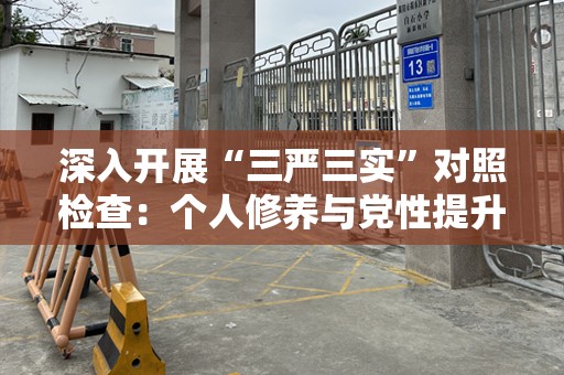 深入开展“三严三实”对照检查：个人修养与党性提升的必由之路