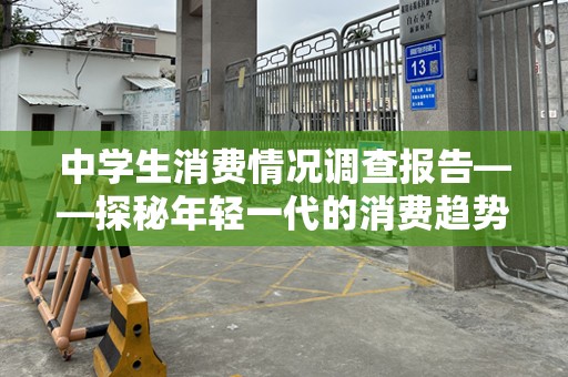 中学生消费情况调查报告——探秘年轻一代的消费趋势与心理
