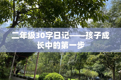 二年级30字日记——孩子成长中的第一步