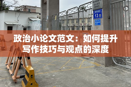 政治小论文范文：如何提升写作技巧与观点的深度