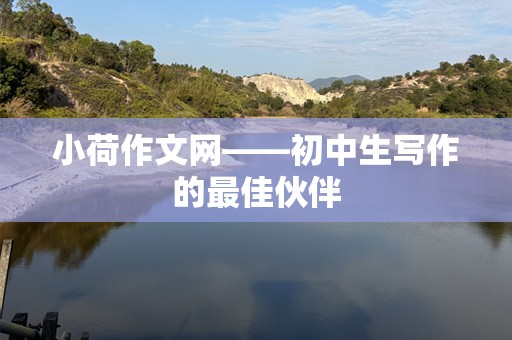 小荷作文网——初中生写作的最佳伙伴