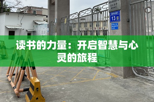 读书的力量：开启智慧与心灵的旅程