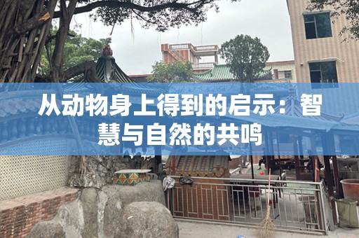 从动物身上得到的启示：智慧与自然的共鸣