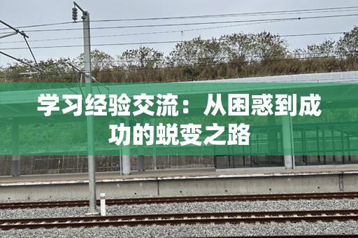 学习经验交流：从困惑到成功的蜕变之路