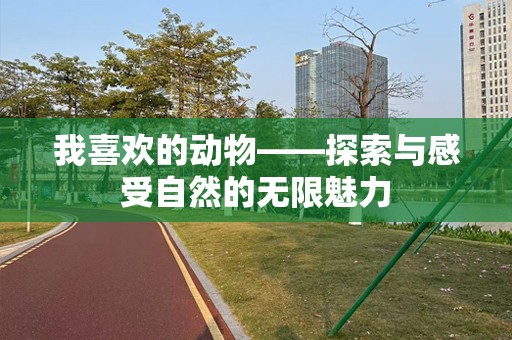 我喜欢的动物——探索与感受自然的无限魅力