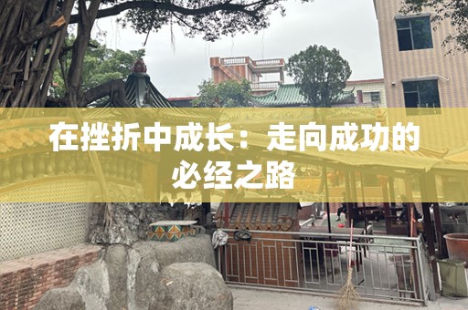 在挫折中成长：走向成功的必经之路