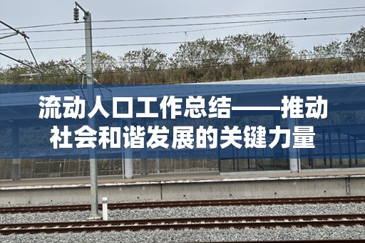 流动人口工作总结——推动社会和谐发展的关键力量